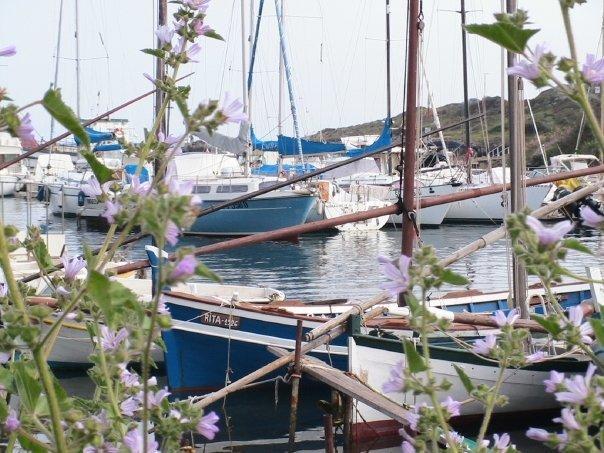 B&B La Reale Stintino Dış mekan fotoğraf